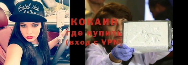 молекула духа Осинники
